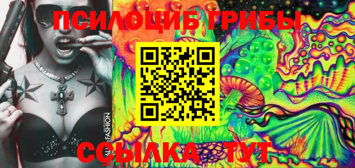 Галлюциногенные грибы мицелий Новоалтайск