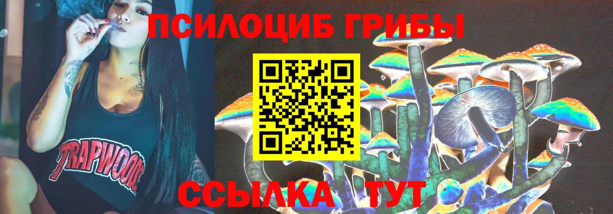 Псилоцибиновые грибы прущие грибы  Вход с VPN  Новоалтайск 